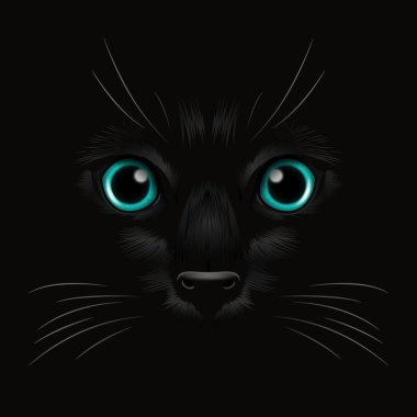 Vektör 3d Karanlıktaki Kara Kedi 'nin Gerçekçi Mavi Kediler Gözü, Gece. Evet Burunlu Kedi Yüzlü, Siyah Bıyıklı. Cat Closeup Karanlıkta Bak. Ön Görünüm.