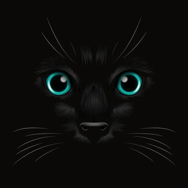 ベクター3Dリアルなブルーキャッツ 暗闇の中の黒猫の目 キャットフェイス ヌース 黒のウィスカー 猫は闇を見つめている フロントビュー — ストックベクタ