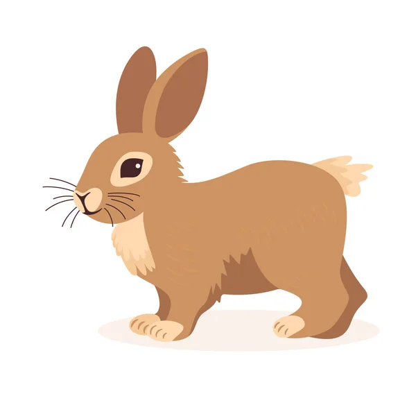 Flat Vector Cute Wild Animal Hare Rabbit Forest Cartoon Bunny — Stock Vector