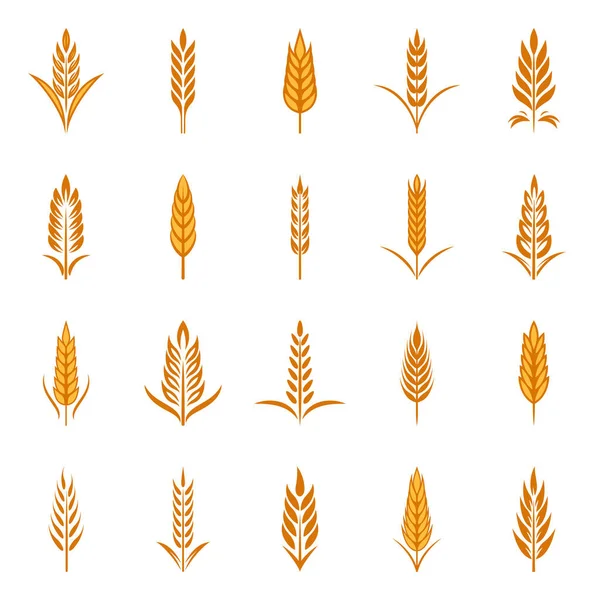 Flat Vector Agriculture Wheat Icon Set Isolated Organic Wheat Rice — Stock Vector