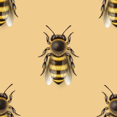 Vector Seamless Pattern with 3d Realistic Detailed Honey Bee Icon Closeup on Yellow Background. Queen Honeybee Design Template, Vector Illustration of Bee in Macro, Top View.