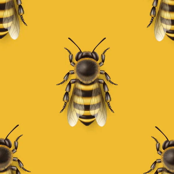 Vector Seamless Pattern Realistic Detailed Honey Bee Icon Closeup Yellow — Stock Vector