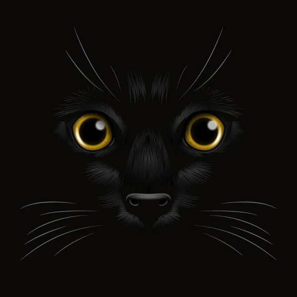 Vector Realistic Yellow Cats Eye Black Cat Dark Night Cat — Stock Vector