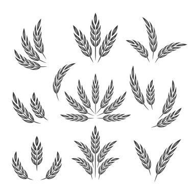 Düz Vektör Tarım Simgesi İzole edilmiş, Organik Buğday, Pirinç Kulak. Ekmek, Bira Logosu, Paketleme, Etiketler için Tasarım Şablonu.