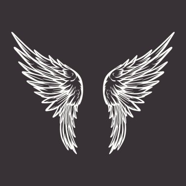 Vektör Kanatları Simgesi. Klasik Melek Kanatları Simgesi, Tasarım Şablonu, Clipart. Aşk tanrısı, melek ya da kuş kanatları. Vektör illüstrasyonu.