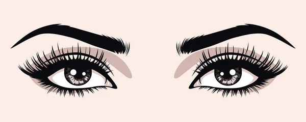Vector Hand Drawn Woman Female Sexy Eyes Perfectly Shaped Eyelashes — 스톡 벡터