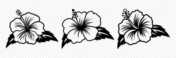 stock vector Vector Monochrome Outline Ink Hibiscus. Chinese Rose Set. Floral Design Elements. Hibiscus Flower Linear Black and White Icon, Tattoo. Hibiscus Flowers Isolated.