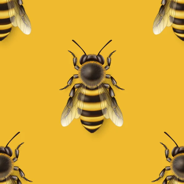 Vector Seamless Pattern Realistic Detailed Honey Bee Icon Closeup Yellow — Wektor stockowy