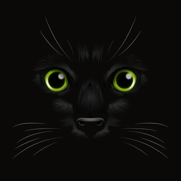 Gato Preto Pixel Para Ponto Cruzado Ilustração do Vetor - Ilustração de  arcada, computador: 229232532