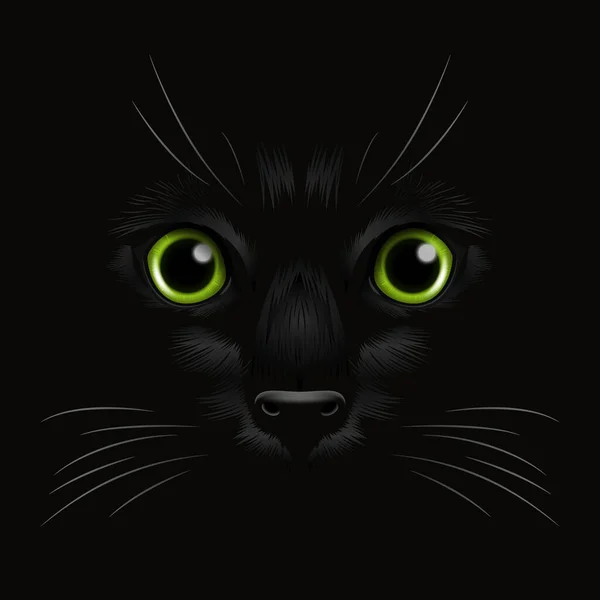 Vector Realistic Green Cats Occhio Gatto Nero Buio Notte Faccia — Vettoriale Stock
