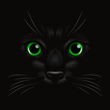 Vektör 3d Karanlıktaki Kara Kedi 'nin Gerçekçi Yeşil Kediler Gözü, Gece. Evet Burunlu Kedi Yüzlü, Siyah Bıyıklı. Cat Closeup Karanlıkta Bak. Ön Görünüm.