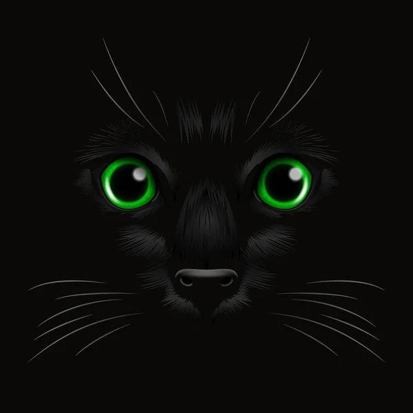 Vector Realistic Green Cats Eye Einer Schwarzen Katze Der Dunkelheit — Stockvektor