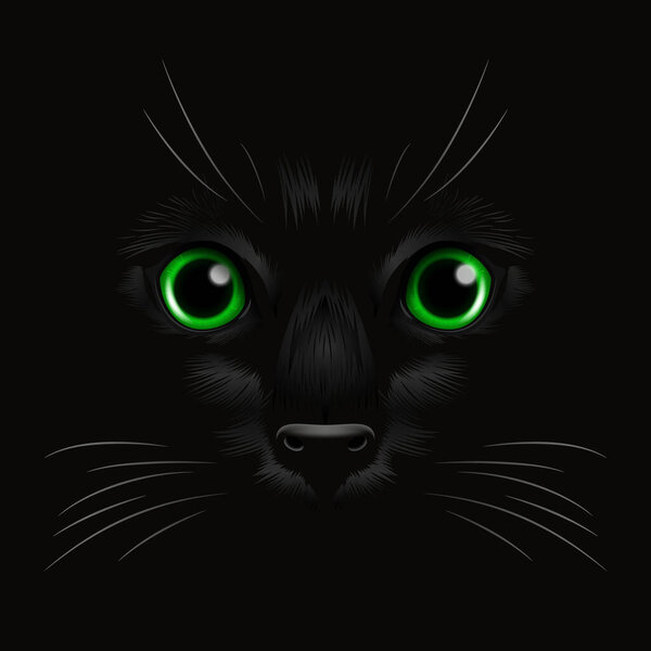 Vector 3d Realistic Green Cats Eye of a Black Cat in the Dark, at Night. Cat Face with Yes, Nose, Whiskers on Black. Cat Closeup Look in the Darkness. Front View.
