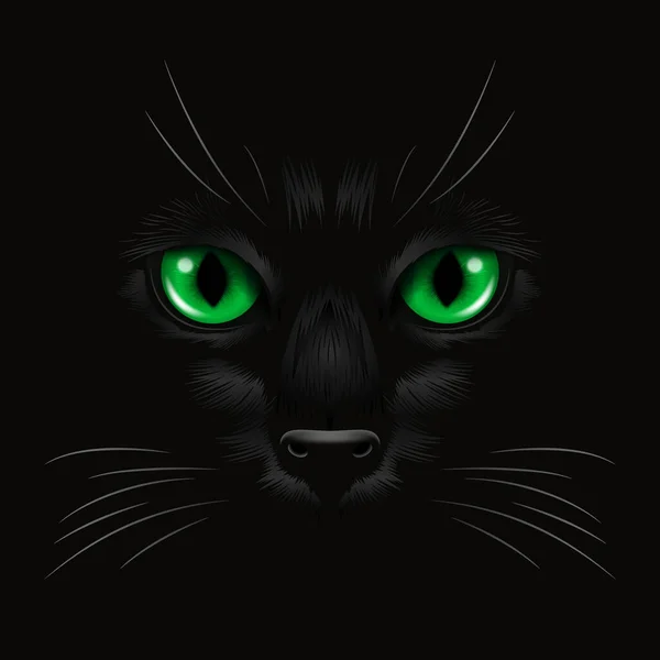 黑暗中一只黑猫现实的绿猫的眼睛 在夜晚 猫脸与是的 胡须在黑色 猫的衣服在黑暗中看 — 图库矢量图片