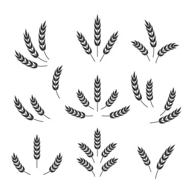 Düz Vektör Tarım Simgesi İzole edilmiş, Organik Buğday, Pirinç Kulak. Ekmek, Bira Logosu, Paketleme, Etiketler için Tasarım Şablonu.