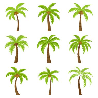 Düz Vektör Çizgi Filmi Palmiye Ağaçları, Palmiye Ağacı Simgesi İzole edildi. Palm Design Şablonu Tropikal, Tatil, Plaj, Yaz Konsepti. Vektör İllüstrasyonu. Ön Görünüm.