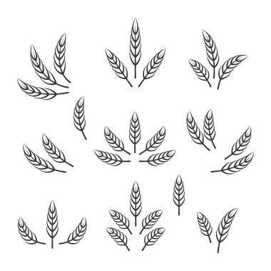 Düz Vektör Tarım Simgesi İzole edilmiş, Organik Buğday, Pirinç Kulak. Ekmek, Bira Logosu, Paketleme, Etiketler için Tasarım Şablonu.