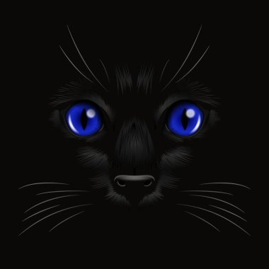 Vektör 3d Karanlıktaki Kara Kedi 'nin Gerçekçi Mavi Kediler Gözü, Gece. Evet Burunlu Kedi Yüzlü, Siyah Bıyıklı. Cat Closeup Karanlıkta Bak. Ön Görünüm.