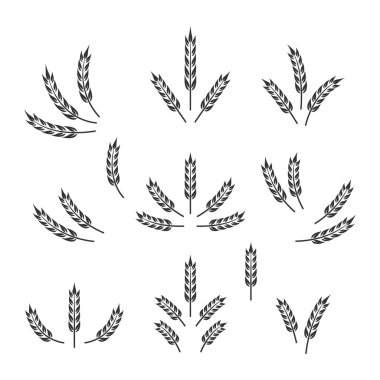 Düz Vektör Tarım Simgesi İzole edilmiş, Organik Buğday, Pirinç Kulak. Ekmek, Bira Logosu, Paketleme, Etiketler için Tasarım Şablonu.