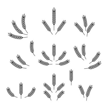 Düz Vektör Tarım Simgesi İzole edilmiş, Organik Buğday, Pirinç Kulak. Ekmek, Bira Logosu, Paketleme, Etiketler için Tasarım Şablonu.