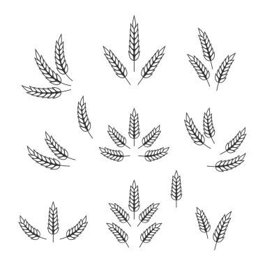 Düz Vektör Tarım Simgesi İzole edilmiş, Organik Buğday, Pirinç Kulak. Ekmek, Bira Logosu, Paketleme, Etiketler için Tasarım Şablonu.