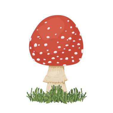 Düz Vektör Sineği Agarik Simge Kapanışı izole edildi. Çimenli Uçan Agarik Mantar çizgi filmi. Tasarım Şablonu, Clipart.