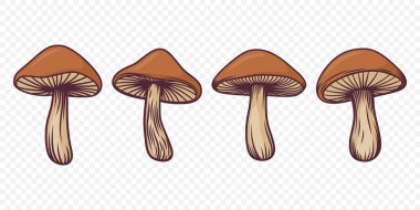Vektör Kahverengi El Çizimi Mantarlar. Mantar Çizimi, Mantar Koleksiyonu, El Çizimi Mantar Tasarımı Şablonu.