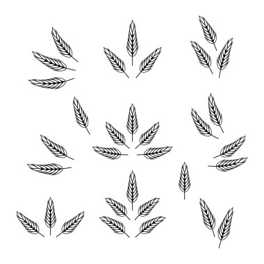 Düz Vektör Tarım Buğdayı, Gevrek Kulağı Simgesi İzole Edildi. Organik buğday, pirinç kulak. Ekmek, Bira Logosu, Paketleme, Tarım Etiketleri, Organik Gıda Konsepti için Tasarım Şablonu.