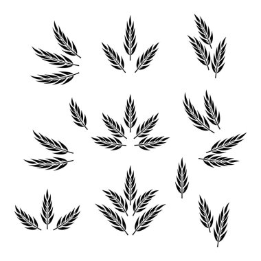Düz Vektör Tarım Buğdayı, Gevrek Kulağı Simgesi İzole Edildi. Organik buğday, pirinç kulak. Ekmek, Bira Logosu, Paketleme, Tarım Etiketleri, Organik Gıda Konsepti için Tasarım Şablonu.