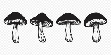 Vektör Siyah ve Beyaz El Çizilmiş Mantarlar. Mantar Çizimi, Mantar Koleksiyonu, El Çizimi Mantar Tasarımı Şablonu.