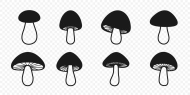 Vektör Siyah ve Beyaz El Çizilmiş Mantarlar. Mantar Çizimi, Mantar Koleksiyonu, El Çizimi Mantar Tasarımı Şablonu.