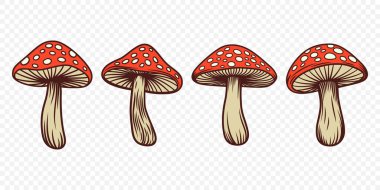 Vektör El Çizim Mantarları. Amanita Muscaria, Fly Agaric Illustration, Mantar Koleksiyonu. Sihirli Mantar Sembolü, Tasarım Şablonu.
