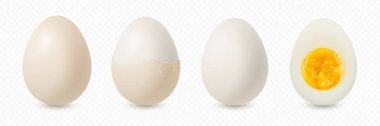 Vektör 3d Gerçekçi Kahverengi Tavuk Yumurtaları. Dokulu, çatlak, soyulmuş, haşlanmış tavuk yumurtası, haşlanmış yumurta, yumurta sarısı kapaklı, izole edilmiş. Yumurtalar izole edilmiş. Tüm, Yarım Yumurta Kesimi, Ön Görünüm
