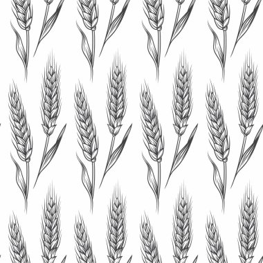 El Tarımı Buğdaylı, Mısır Gevreği Kulaklı Vektörsüz Kalıp. Organik buğday, pirinç kulak. Ekmek, bira ambalajı, tarım, organik gıda konsepti için tahıl tasarım şablonu.