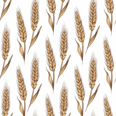 El Tarımı Buğdaylı, Mısır Gevreği Kulaklı Vektörsüz Kalıp. Organik buğday, pirinç kulak. Ekmek, bira ambalajı, tarım, organik gıda konsepti için tahıl tasarım şablonu.