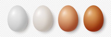 Vektör 3d Gerçekçi Beyaz ve Kahverengi Tavuk Yumurtaları İzole Edildi. Tavuk Yumurta Seti. Farklı Renk Yumurtalarını Yönlendir. Öndeki Yumurta, Üst Görünüm.