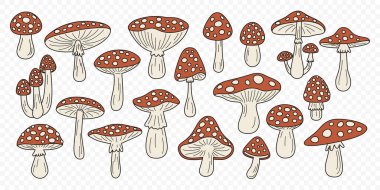 Düz Vektör El Çizgi Filmi Uçan Agarik Mantarlar. Amanita Muscaria, Fly Agaric Illustration, Mantarlar. Sihirli Mantar Simgeleri, Tasarım Şablonu.