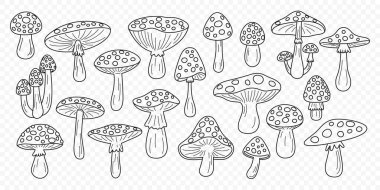 Düz Vektör El, Siyah ve Beyaz Çizgi Film Sinek Agarik Mantar Çizimi Çizimi. Amanita Muscaria, Fly Agaric Illustration, Mantarlar. Sihirli Mantar Simgeleri, Tasarım Şablonu.