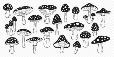 Düz Vektör El, Siyah ve Beyaz Çizgi Film Sinek Agarik Mantar Çizimi Çizimi. Amanita Muscaria, Fly Agaric Illustration, Mantarlar. Sihirli Mantar Simgeleri, Tasarım Şablonu.