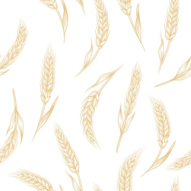 Tarım buğdaylı, mısır gevreği kulaklı vektör kusursuz desen. Organik buğday, pirinç kulak. Ekmek, bira ambalajı, tarım, organik gıda konsepti için tahıl tasarım şablonu.