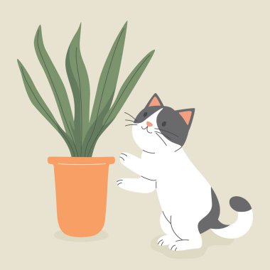 Şirin Çizgi Film Düz Vektör Kedisi Saksı Sansevieria Bitkisi Arıyor. Cat Lovers için Vektör İllüstrasyonu. Evcil Kedicik Ev Hayatı Tasarım Şablonu.