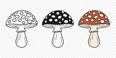 Düz Vektör El Çizim Çizim Karikatürü Uçan Agarik Mantarlar Çizim Çizimi. Amanita Muscaria, Fly Agaric Illustration, Mantarlar. Sihirli Mantar Simgeleri, Tasarım Şablonu.