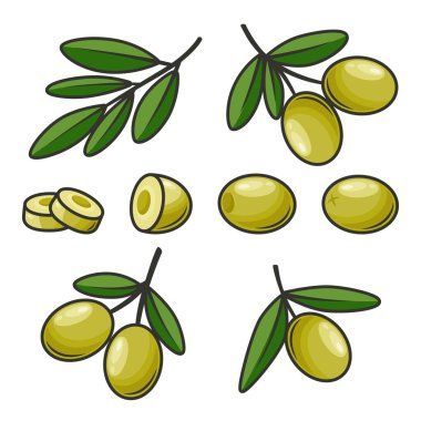 Flat Vector Green Olives and Branch Outline Set. Hand-Drawn Olive Tree Berries and Branch Clipart. Olive Twig with Leaves for Olive Oil Products, Packaging, Food Design Template.