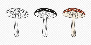 Düz Vektör El Çizim Çizim Karikatürü Uçan Agarik Mantarlar Çizim Çizimi. Amanita Muscaria, Fly Agaric Illustration, Mantarlar. Sihirli Mantar Simgeleri, Tasarım Şablonu.