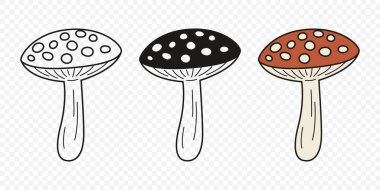 Düz Vektör El Çizim Çizim Karikatürü Uçan Agarik Mantarlar Çizim Çizimi. Amanita Muscaria, Fly Agaric Illustration, Mantarlar. Sihirli Mantar Simgeleri, Tasarım Şablonu.