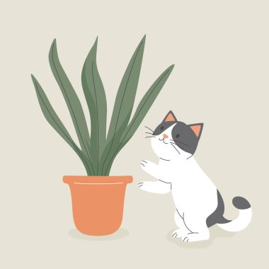 Şirin Çizgi Film Yılan Bitkisi, Sansevieria 'ya uzanan Yassı Vektör Kedi. Cat Lovers için Vektör İllüstrasyonu. Evcil Kedicik Ev Hayatı Tasarım Şablonu.