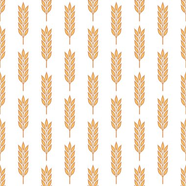Tarımsal Buğday ve Gevrek Kulaklı Vektör Kusursuz Desen. Organik Buğday, Pirinç Kulak Tasarım Şablonu. Ekmek, Bira Paketi, Çiftlik, Organik Gıda Konsepti.