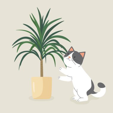Şirin Çizgi film Düz Vektör Kedisi Saksı Dracaena Bitkisi Arıyor. Cat Lovers için Vektör İllüstrasyonu. Evcil Kedicik Ev Hayatı Tasarım Şablonu.