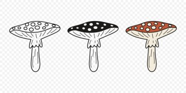 Düz Vektör El Çizim Çizim Karikatürü Uçan Agarik Mantarlar Çizim Çizimi. Amanita Muscaria, Fly Agaric Illustration, Mantarlar. Sihirli Mantar Simgeleri, Tasarım Şablonu.