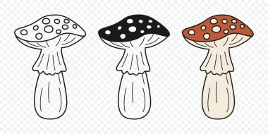 Düz Vektör El Çizim Çizim Karikatürü Uçan Agarik Mantarlar Çizim Çizimi. Amanita Muscaria, Fly Agaric Illustration, Mantarlar. Sihirli Mantar Simgeleri, Tasarım Şablonu.
